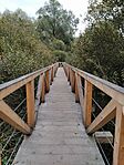 IMG_20231024_144816