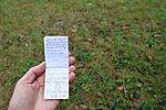 logbook részlet