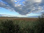 IMG_3465