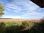 IMG_20231023_145317.jpg