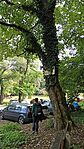 IMG_20231007_110420