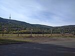 IMG_20231017_140247_1