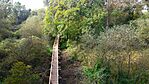 DJI_0916(2)