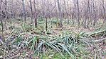 IMG_20231030_151736