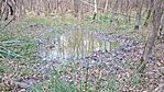 IMG_20231030_151730