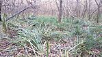 IMG_20231030_151649