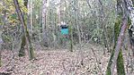 IMG_20231030_151628