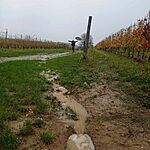 Palkonya felhőszakadás utáni séta a Kápolnához.