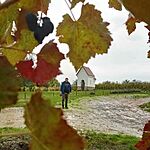 Palkonya Szent Bertalan Kápolna