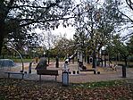 IMG_20231105_113336