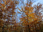 DSC08471