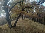 IMG_20231029_135900974
