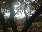 IMG_20231029_135914437