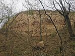 IMG_20231119_100733