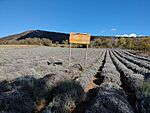 IMG_20231101_102633
