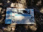 IMG_20231101_132814