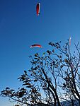IMG_20231101_145534
