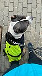 IMG_5467