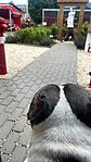 IMG_5468