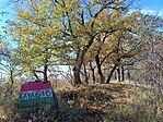 IMG_20231104_112011.jpg