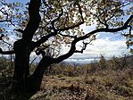 IMG_20231104_111412.jpg