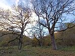 IMG_20231104_153726.jpg