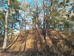IMG_20231104_151213.jpg