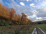 IMG_20231104_153244.jpg