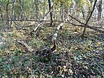 IMG_20231123_132353.jpg