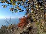 IMG_20231123_133828.jpg