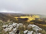 IMG_20231104_151448