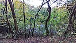 20231101_150216.jpg