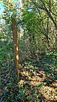 20231102_102946.jpg