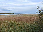 IMG20231030155011_resize_2
