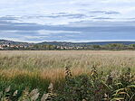 IMG20231030155007_resize_2