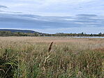 IMG20231030155008_resize_2