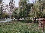 IMG20231030155836_resize_2