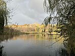 IMG_9758