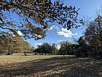 IMG_9704