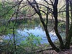 IMG_20231101_132439