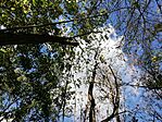 IMG_20231101_132941