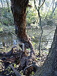 DSC04587