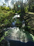 DSC04609