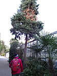 DSC04841