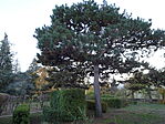 DSC04843
