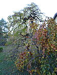 DSC04845