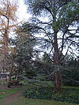 DSC04846