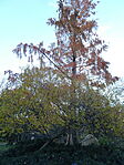 DSC04849