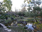 DSC04850