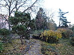 DSC04857